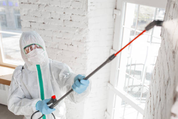 Best Asbestos and Lead Testing During Mold Inspection  in Nokomis, IL